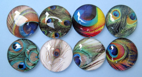 Peacock Feather Magnets