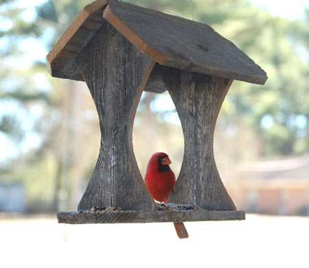 Re-purposed Cedar Bird Feeder