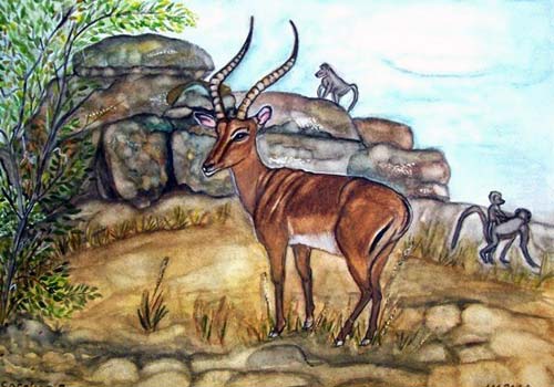 Impala Watercolor Painting