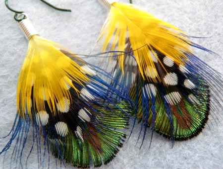 Peacock, Guinea and Macaw Feather Earrings