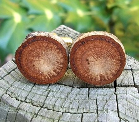 Oak Tree Branch Cufflinks