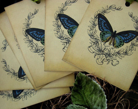 Blue Butterfly Gift Tags