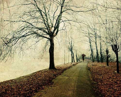 Winter Scene Sidewalk Photography