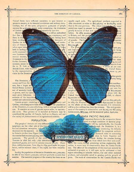 Blue Butterfly Book Print