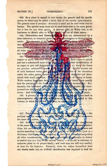 Silkscreen Dragonfly Octopus Print