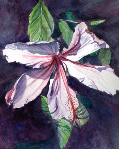 Watercolor Hibiscus Print