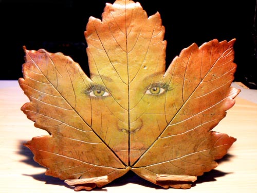 Polymer Maple Leaf Portrait